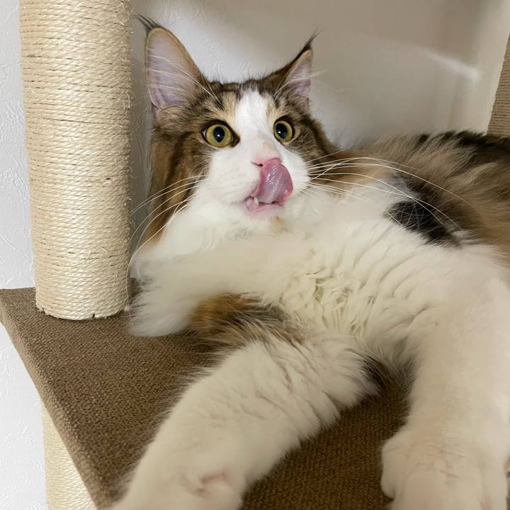 E163e547 499c 41c6 9e65 4eff8cf7691c 1643624219029