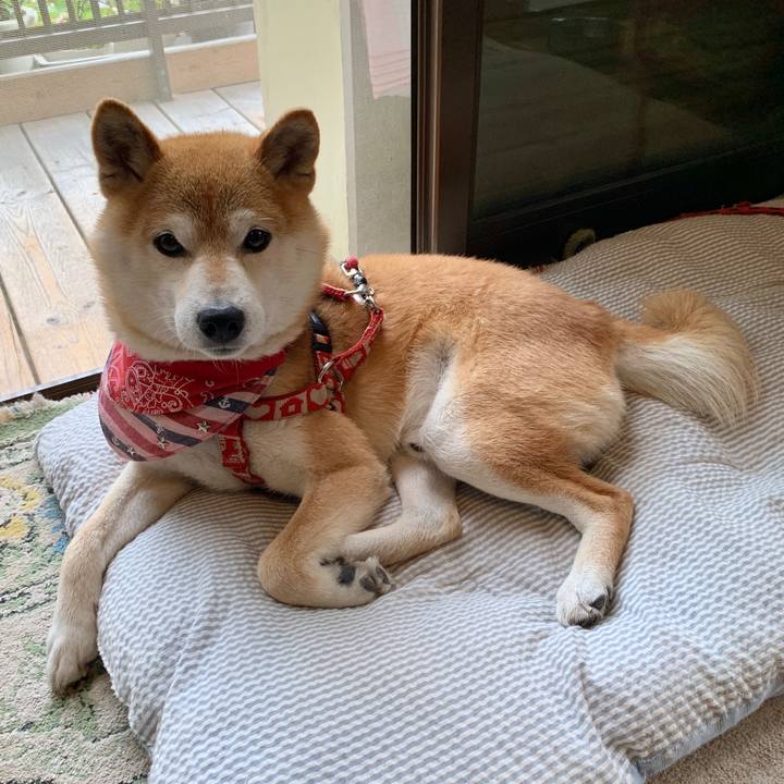 E163eb73 08ae 4c12 9802 192ce1a55547 1592474885628