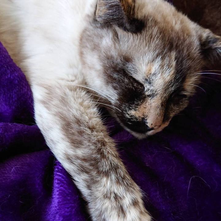 E1640f60 ab88 4ef2 bbbe 91ac50361355 1578068404648