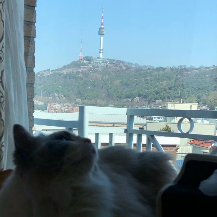 E164378c c304 400d 9cd6 4b63102902a5 1586049259893