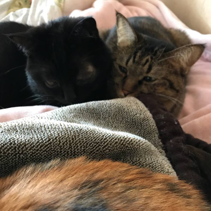 E1646416 44dc 4023 9782 9ee2ed909ebf 1540715323482