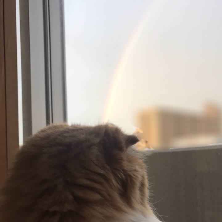 E1647a50 d2c9 4bdb 88d1 79bbad74e692 1547994116623