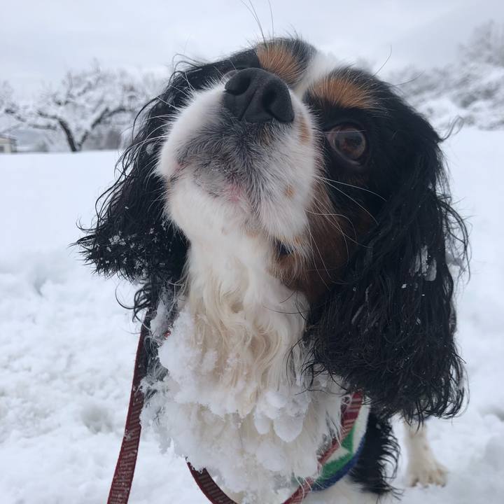 E1649489 e0ad 44fa a0f4 23caf1231471 1554073267121