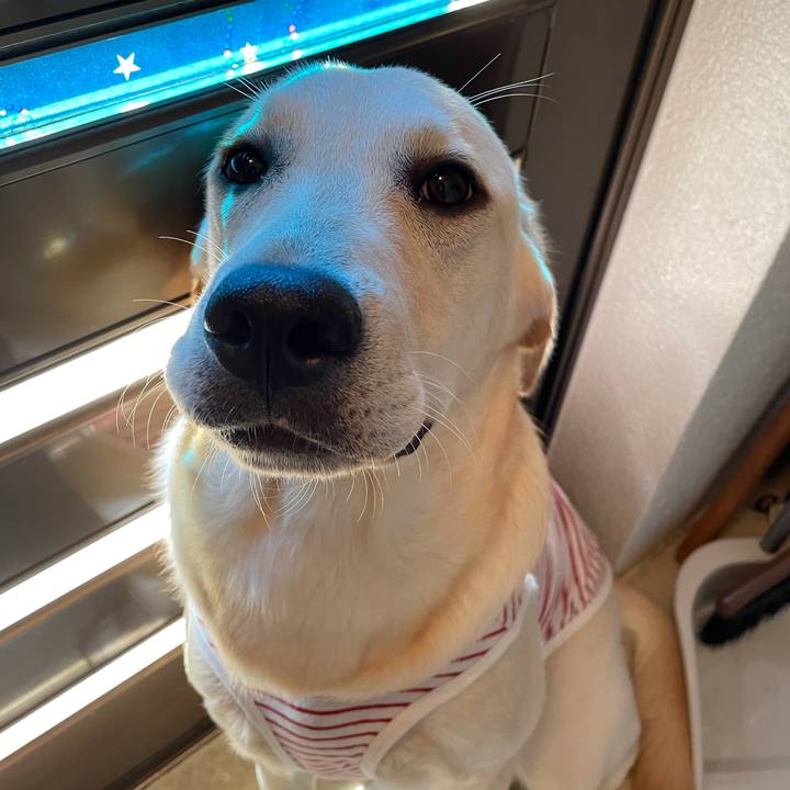 E164a86d 35ba 4637 b80f 4beb194c3a64 1623288636273