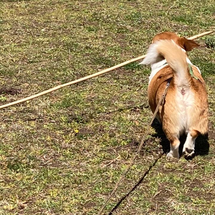 E164b3db 0701 40fb 95a6 ef6d1f333348 1711583499428