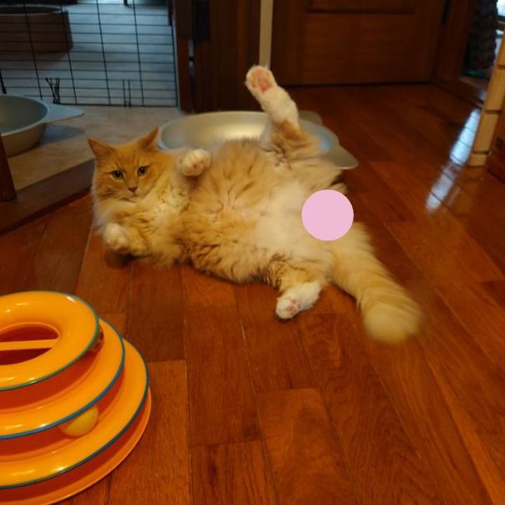 E164d238 ce79 45bd acce a5529b5872a7 1629037920235