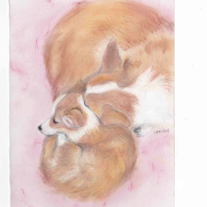 E164ea28 eb54 4fca a6f4 792fcee0fb8b 1583515065394