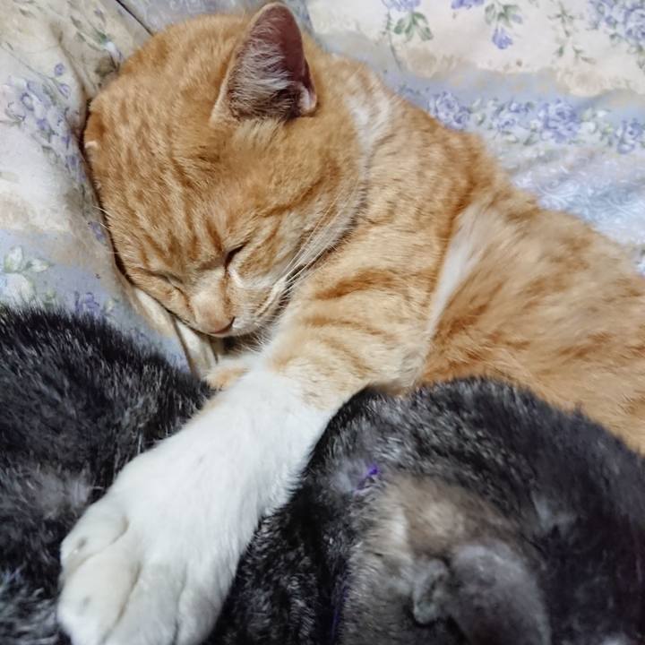 E164fdfc 5519 4077 a5a3 321e758e07a1 1578915703308