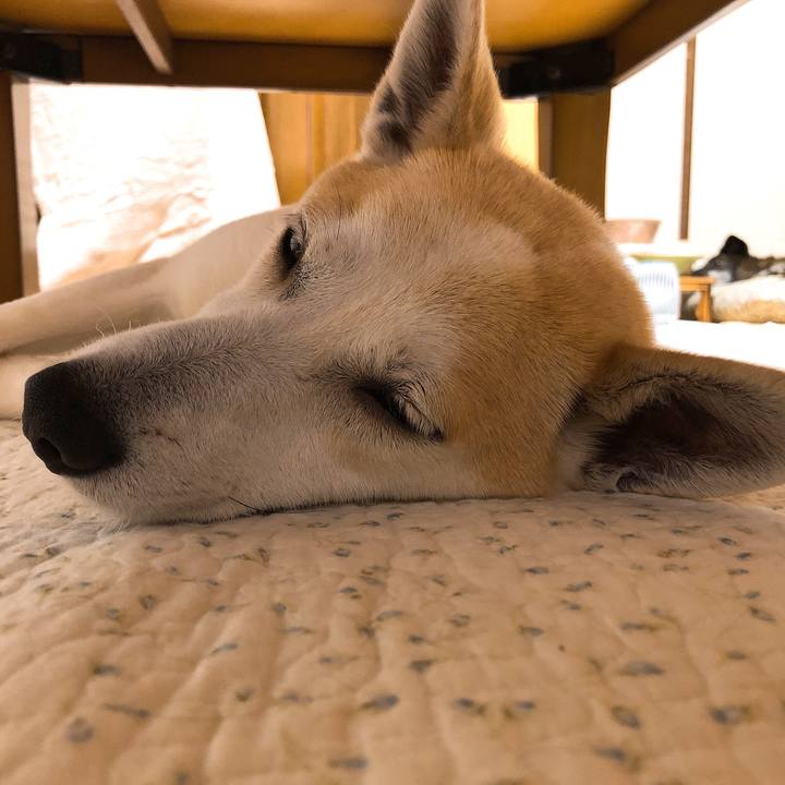 E1654c34 6e14 4c42 8bd8 69198531fde0 1590418019198