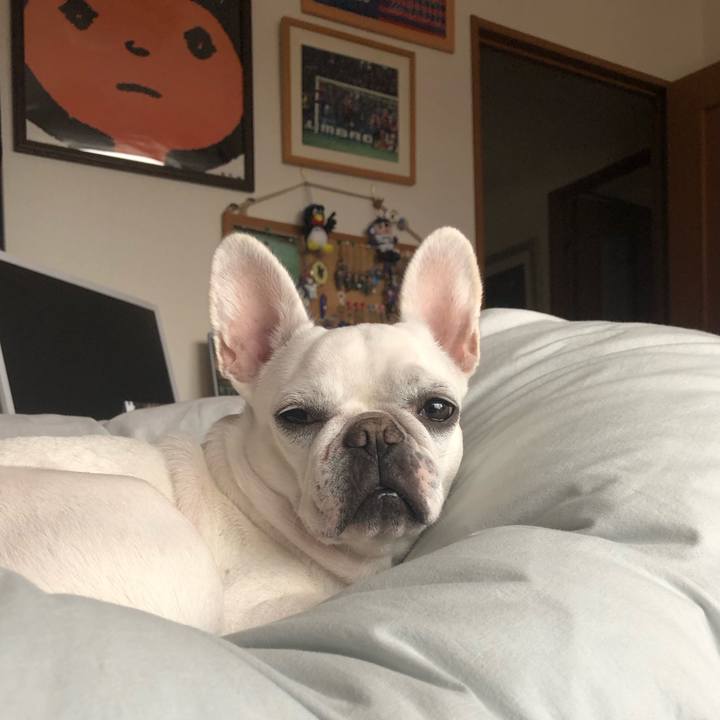 E1656b25 fda6 44cc b50a a252aa95b82f 1602855498935