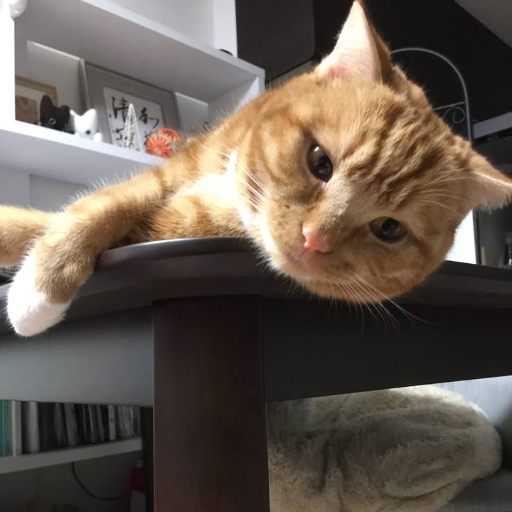 E1656b8a 6e21 47ec 8436 c40671357b7b 1513124077444