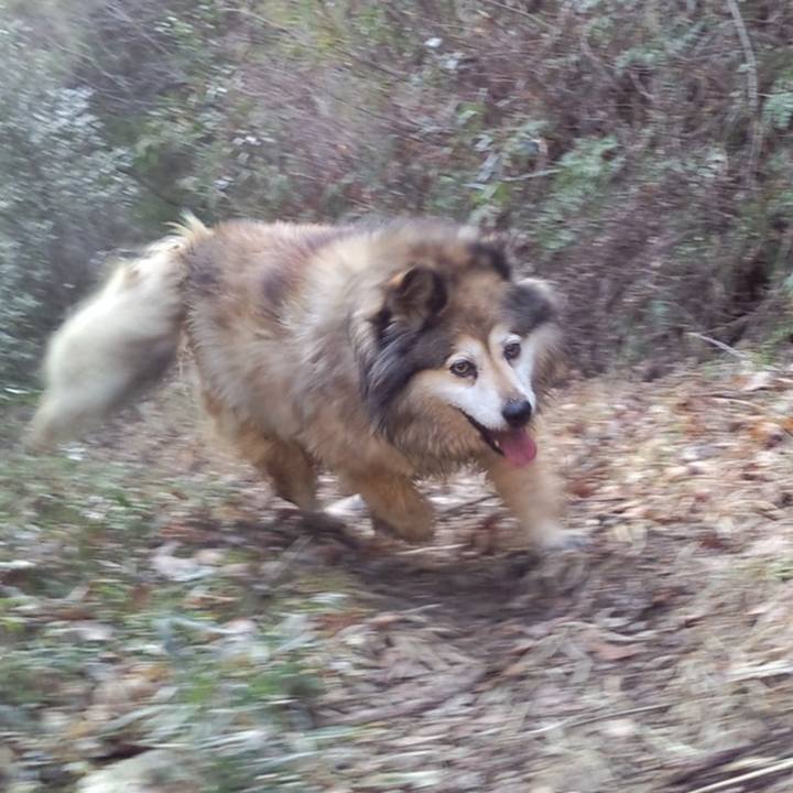 E1659c50 ae3b 4072 89b4 85986aaa90e0 1607910199436