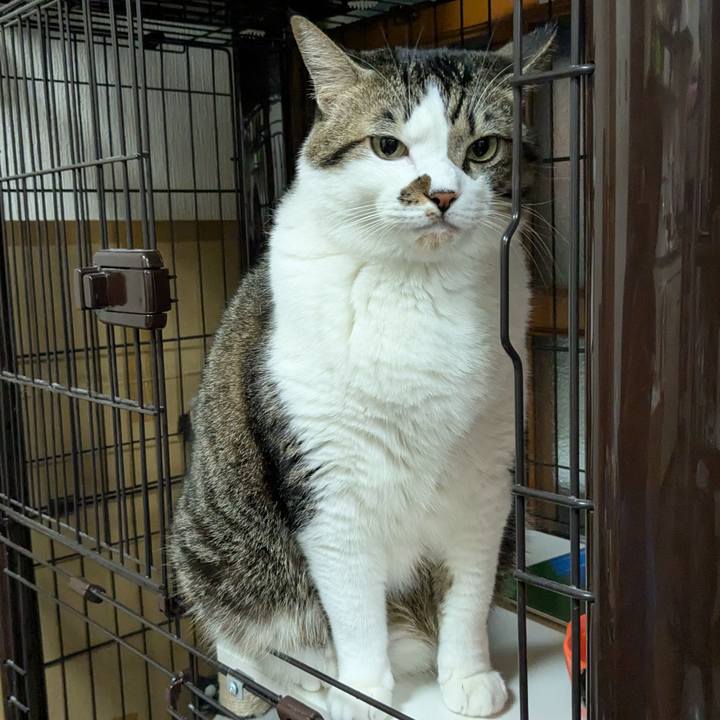 E165abc7 33f7 4461 8654 25f726f5cce8 1731935456881