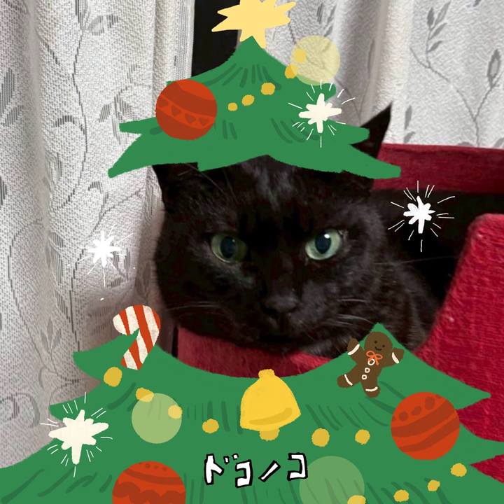 E165d3c1 716c 4ab4 81fa a8f9654394bc 1761776391067