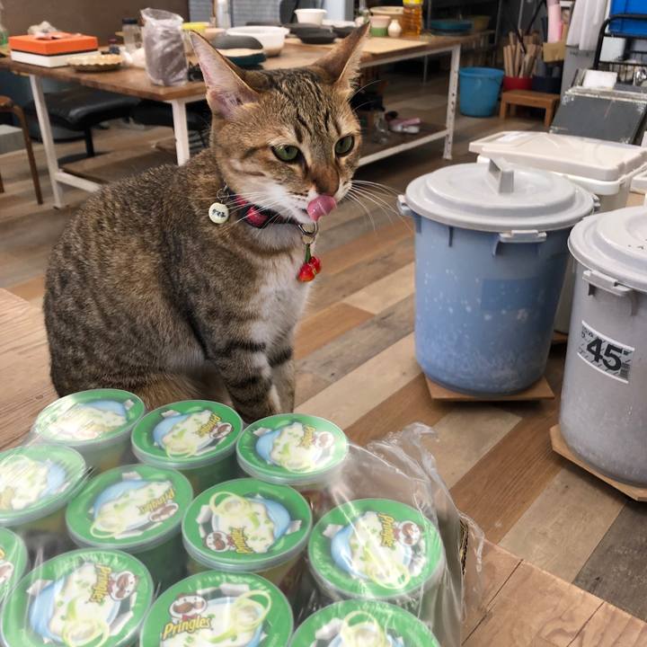 E165f1b1 221b 4148 99c5 72f861140885 1631787546443