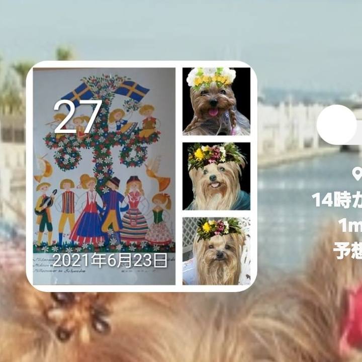 E1662ca3 9970 47bf b60a 2e65979b5311 1719491796166