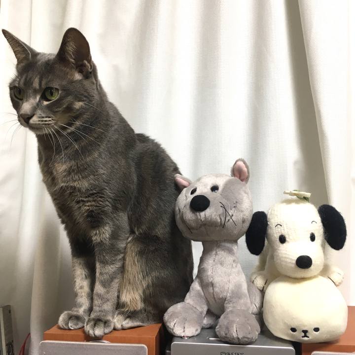 E166552b 5be1 4538 ab12 017f343deebd 1575099668948