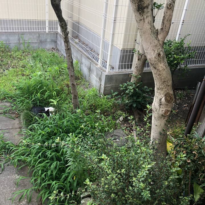 E166668b 8bda 4e44 bff4 6bf61ab5a8d9 1530109950753