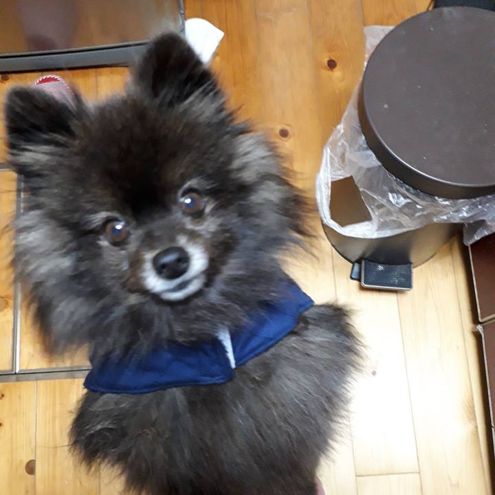 E1666da6 89e5 4e5e 9c33 7a783acb44c8 1518548425115