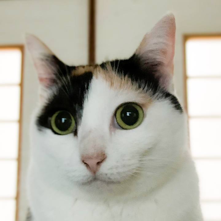 E1667fd7 e375 4382 be53 b82b1429560b 1602900666278