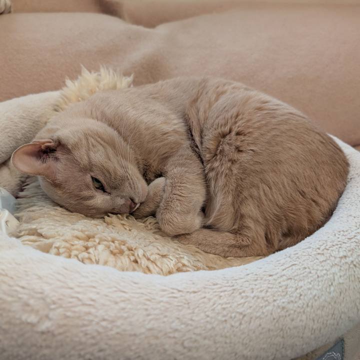 E166829a f089 4c70 95c9 e3ce7159a134 1771109567610