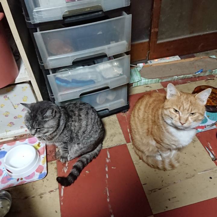 E1668b7b ab7b 47c3 8b32 0a8f6ed57154 1573070413003