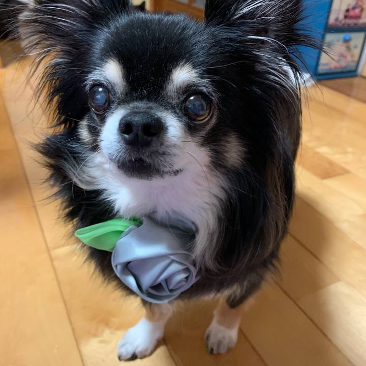 E166d924 bd1c 4574 a22e 81da2078b612 1560551799077