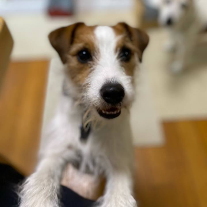 E166dad5 1b1d 4480 992c 3cea5bf59216 1680913749019