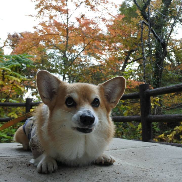 E16719bb 121a 4c89 86f3 89874b894e26 1699107263560