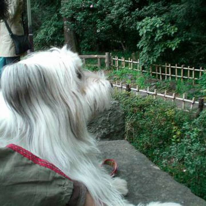 E1671bef 7c94 437c b638 ae9283525d18 1583124457246