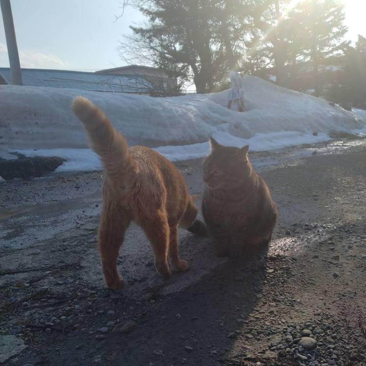 E16749fe ae09 4a2a a8e5 2f44781e3c04 1677658236911