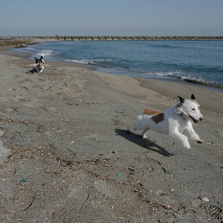 E1676d41 1860 4f5d 8254 72577d64db62 1522471622757