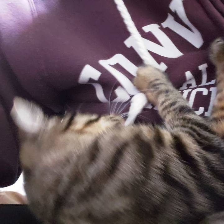 E1677029 aa16 49e3 aa3b bd9b1f5ef834 1547544967025