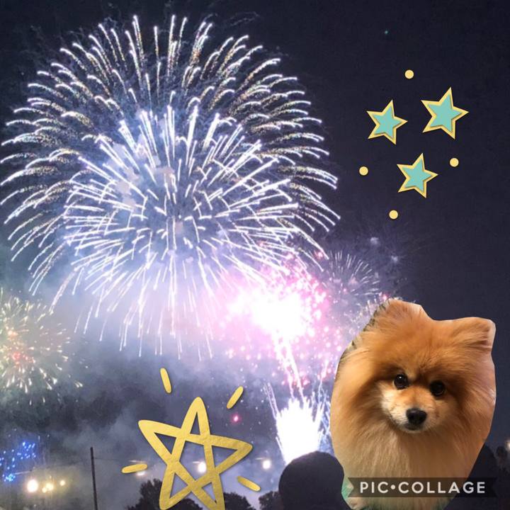 E1678223 b4d2 4580 addb 476514d9be2d 1565965955384