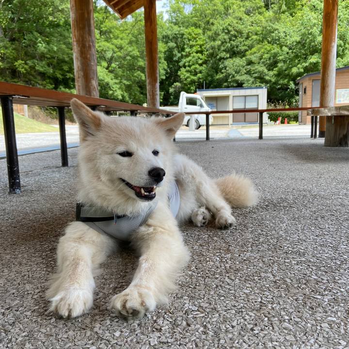 E167947f ad2c 4693 8852 1852cd137ca4 1685272899982