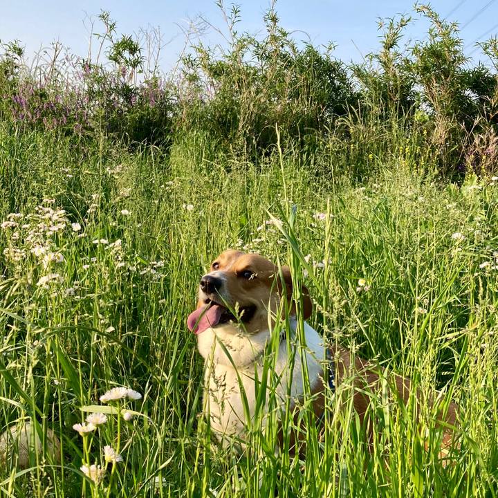 E167954a 2b82 4c9f ae91 1554e1d487ec 1653355617209