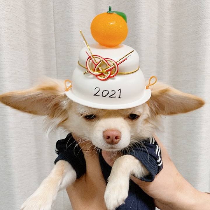 E167a8a5 fb34 43d2 bb4a 75652c8100f0 1610364104375