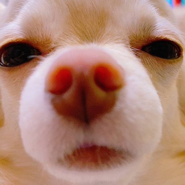 E167c03c 9d24 4701 ab2a 5e110aa2c410 1622642463889