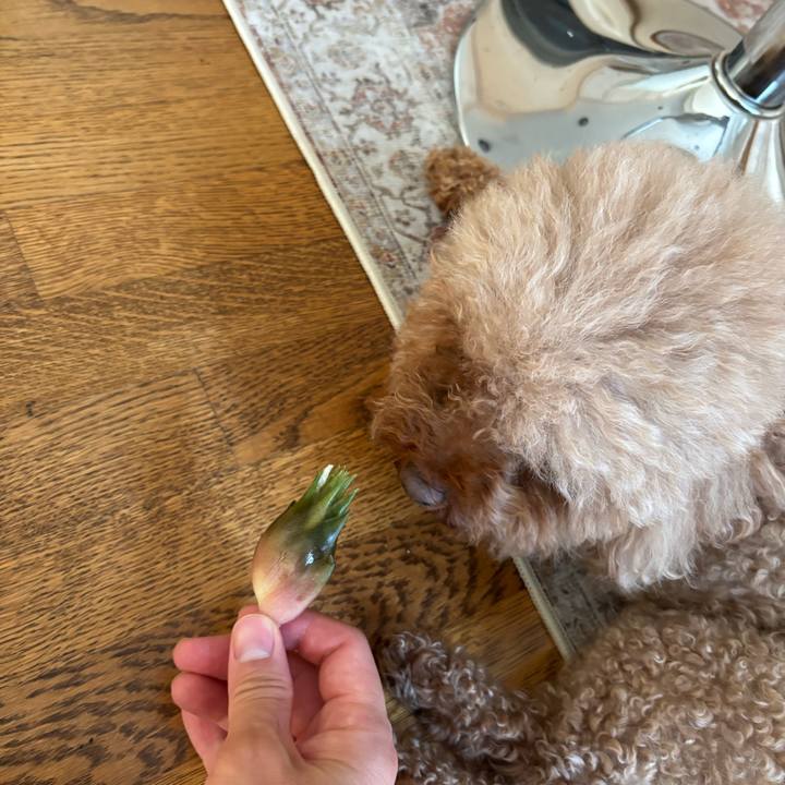 E167cc9a f0ec 4dca 8936 bc3a9d5a7744 1755266605113