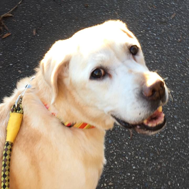 E1682536 8d59 4084 87a5 8ed3f90b44a0 1562557671102