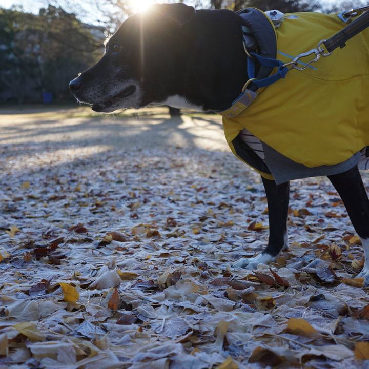 E16834c2 5f0e 4f24 8c0f fa33b8ead750 1765760008135