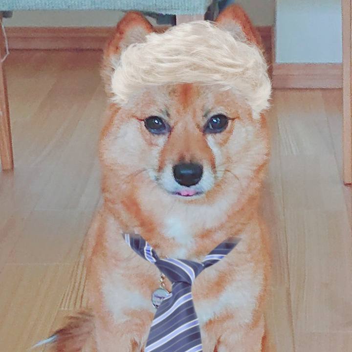 E168350c 5b53 4cb4 9fc5 a1811236ad49 1559710614618