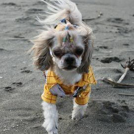 E1684274 f29f 4e6c ab3a 2ad90a299ca4 1562685671417