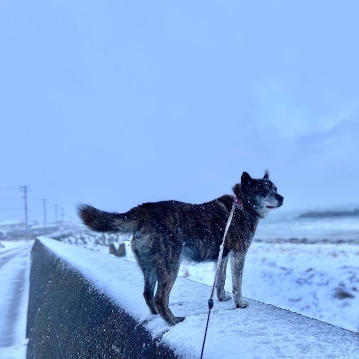 E1685ce0 6114 4383 9f30 dbf5b5b89340 1645070630770