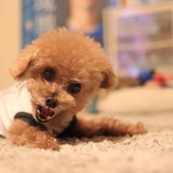 E1689e5c da45 4cb2 89fa 652c67b7b793 1665152131714