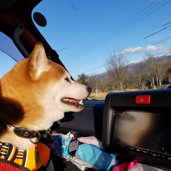 E168b096 e409 4a6c bdba 4590e5f30b01 1607496763838