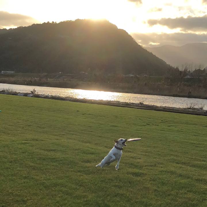 E168df74 304d 419b ad46 95b7e79bb7eb 1514626749780