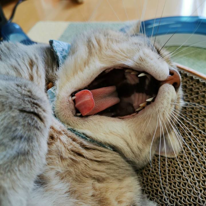 E169150f 582c 40ce b6b8 fdadfbed1cbd 1662004004878