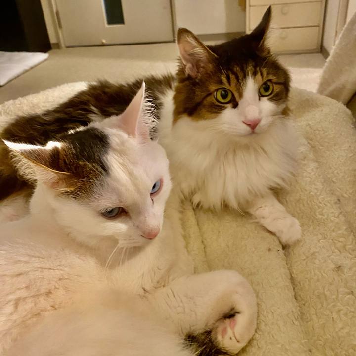 E1691b5a c416 4400 afd3 9266fd27d696 1673133379989