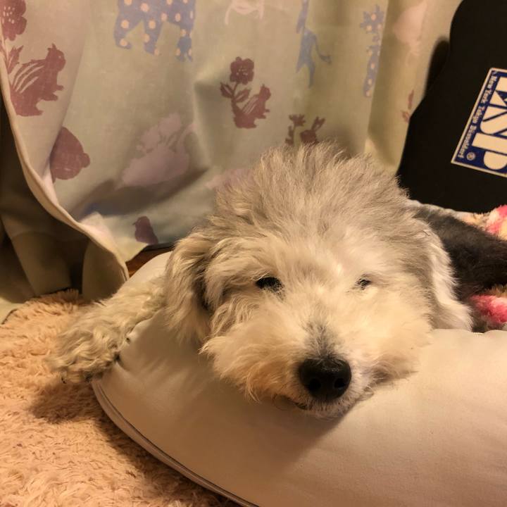 E16972ee e7f1 4b38 8dcd 05cc86b8ae79 1665883055339